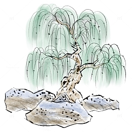 清明节春天柳树发芽水墨画植物树木