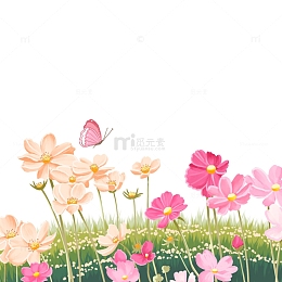 春分花草蝴蝶鲜花