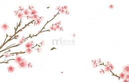 春天春季花朵花瓣飞舞桃花樱花