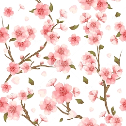 春天春季花朵桃花樱花梅花树枝花枝
