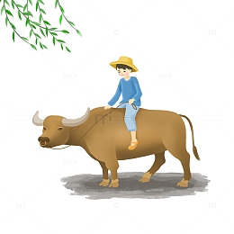 小清新清明节牧童水牛柳条