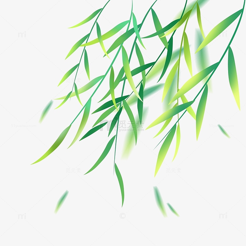 清明节春天春分手绘绿色柳树枝条柳条