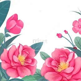 春天花开玫瑰海棠