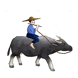 清明牧童吹笛子水牛插画