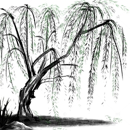 清明节柳树黑白灰水墨画