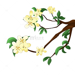 清明植物桂花树枝