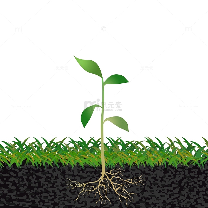 植树节树苗发芽元素