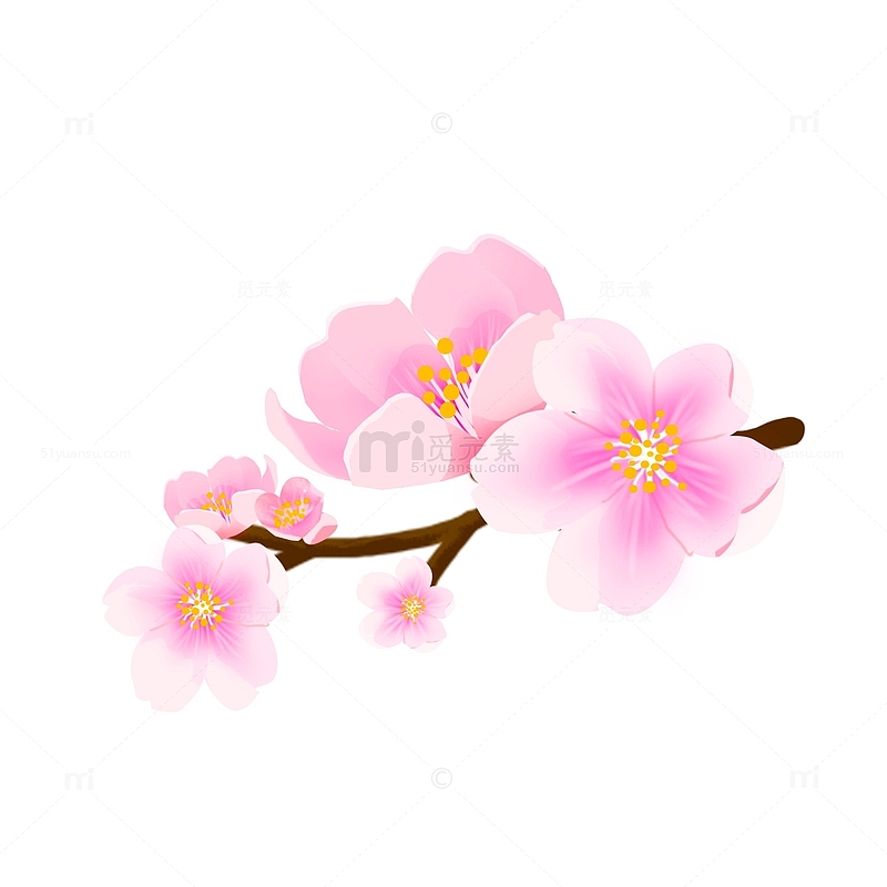 春天粉色的樱花绿叶鲜花元素