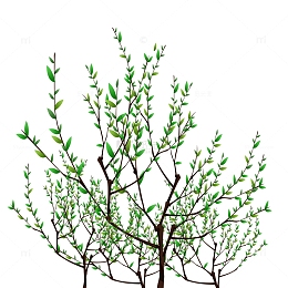 植树节树叶装饰元素