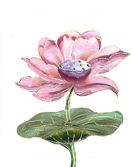 夏天秋 莲花手绘荷叶荷花水墨画