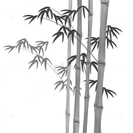 水墨风国画竹子竹竿竹叶