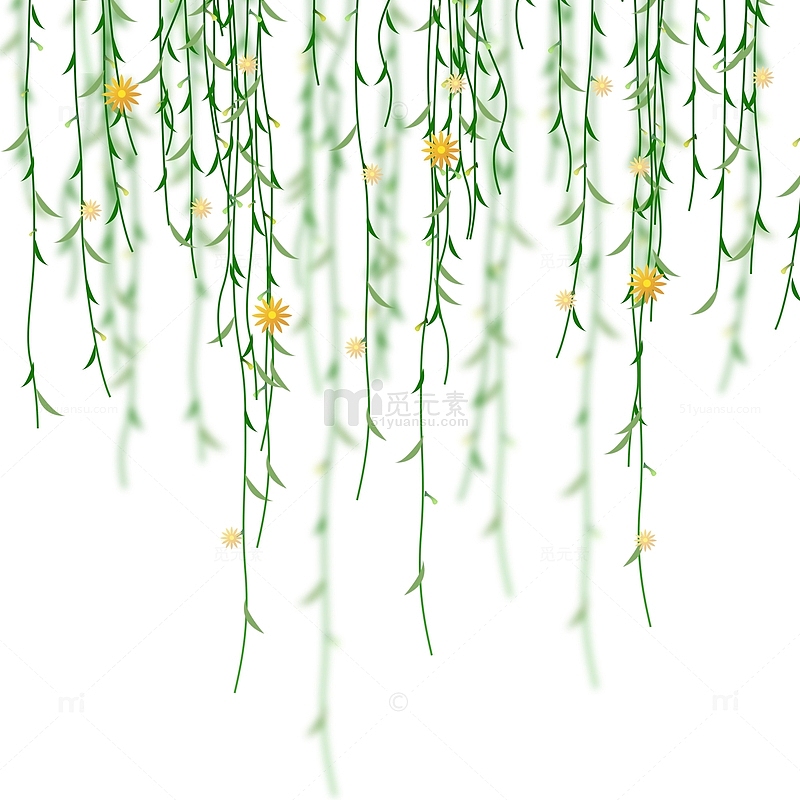 垂柳装饰植物绿色叶子元素