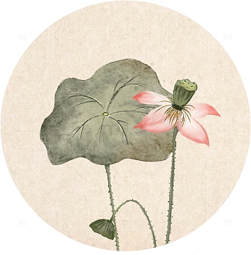 中国风水墨荷花素雅素材