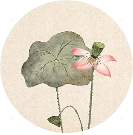 中国风水墨荷花素雅素材