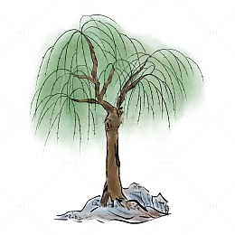 春天清明节水墨画柳树山石植物树木装饰