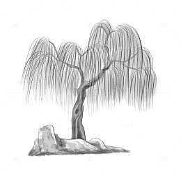 水墨画国风柳树
