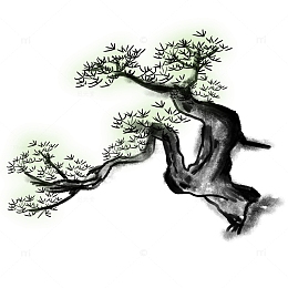 水墨画花草松树植物树木国风