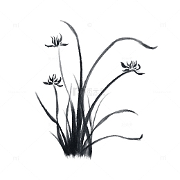 水墨画花草兰花植物水墨写意国风