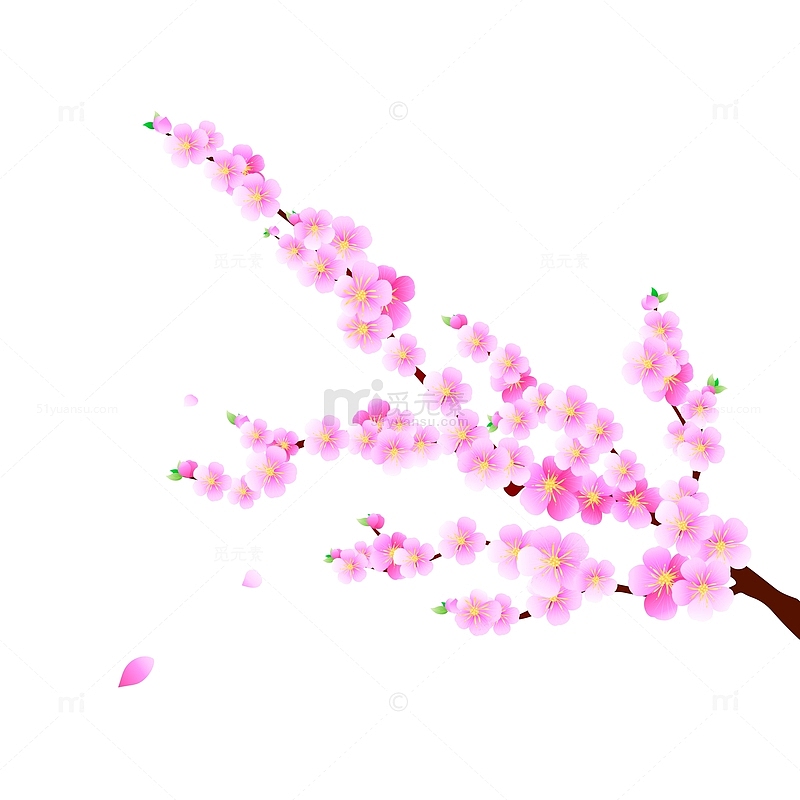 春分粉红色樱花手绘插画元素