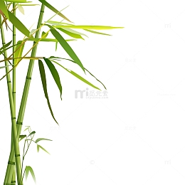 手绘竹子元素