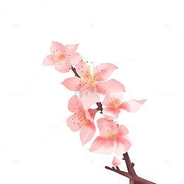 春分节气一支桃花