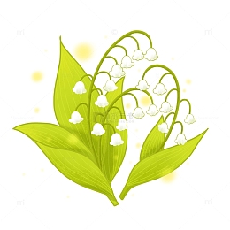 卡通花束系列铃兰花