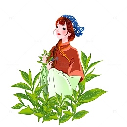 手绘春茶插画