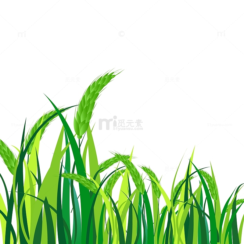 谷雨小麦手绘矢量元素