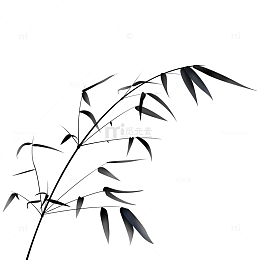 水墨画墨竹花草竹子植物竹枝水墨