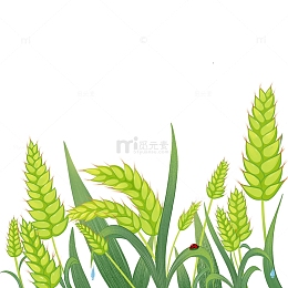 谷雨稻谷麦子植物春天手绘元素