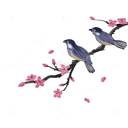中国风水墨画花鸟