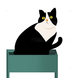 在架子上发呆的可爱黑色白围脖小猫咪