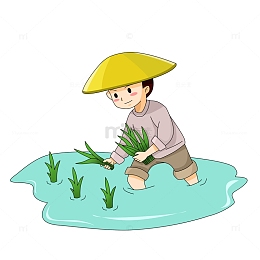 在水田中插秧播种的卡通男孩儿童