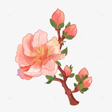 水墨水彩中国风春天樱花手绘插画