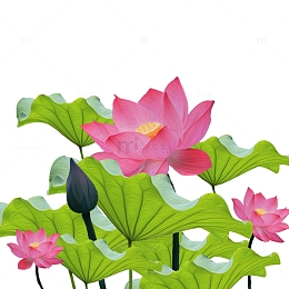 荷花油画质感手绘图