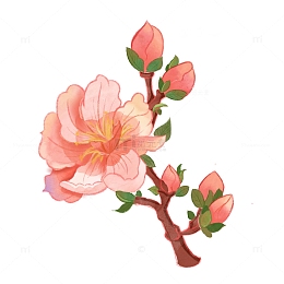 水墨水彩中国风春天樱花手绘插画