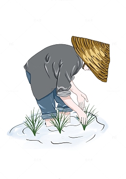 谷雨节气插秧元素