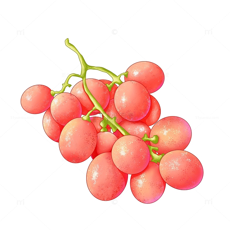 水果扁平风插画红葡萄提子食品菜单元素