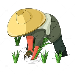 弯腰插秧春种的农民