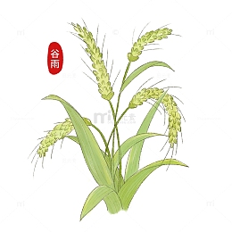 清明谷雨春季农忙青小麦播种