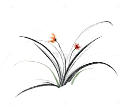 手绘国风水墨兰花