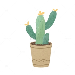 植物花草仙人掌小清新