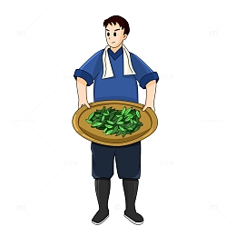 拿箩筐晾晒茶叶的劳动者工人