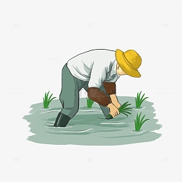 psdpng小清新谷雨农忙插秧插图pngpsdpng立夏手绘国潮荷花荷叶插.