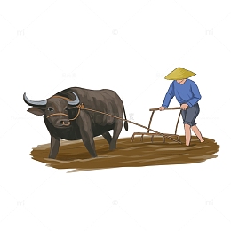谷雨春耕手绘耕牛犁地