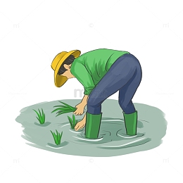手绘谷雨春耕插秧