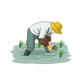 小清新谷雨农忙插秧插图