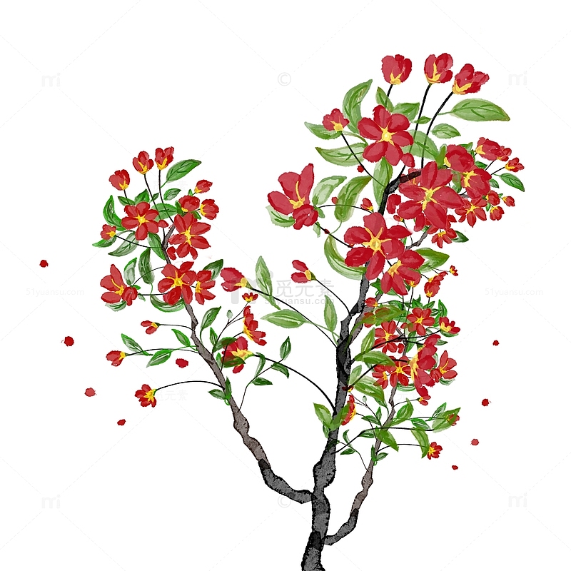 国风水墨植物插画花朵元素