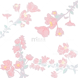 春天 花卉 开花