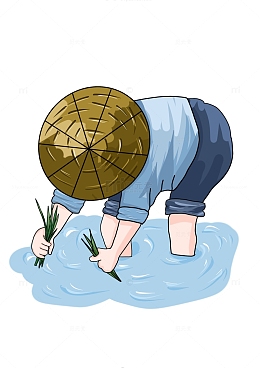 谷雨节气插秧春种
